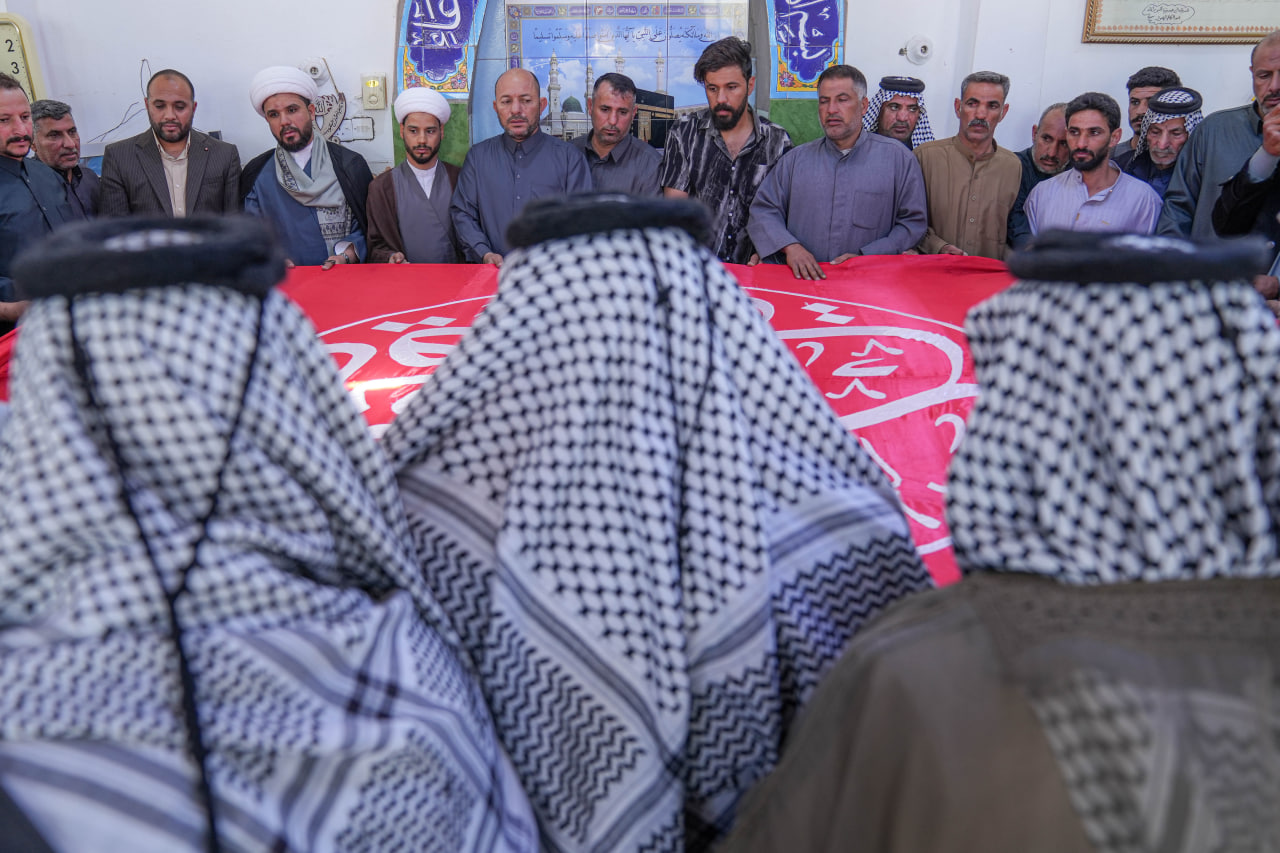 Nature Image #7